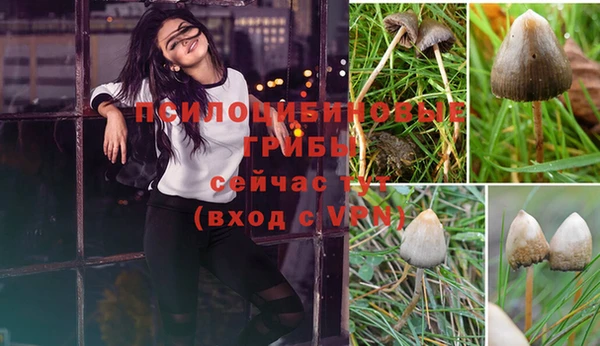 амф Беломорск