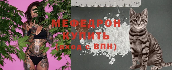 бошки Белокуриха