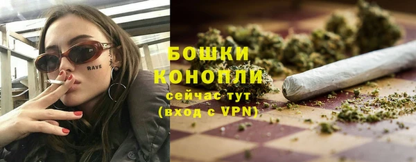 бошки Белокуриха