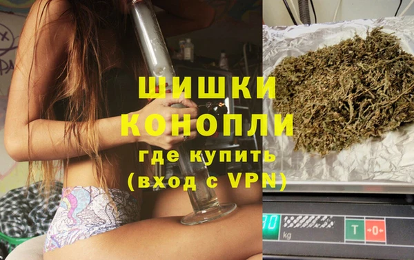 бошки Белокуриха