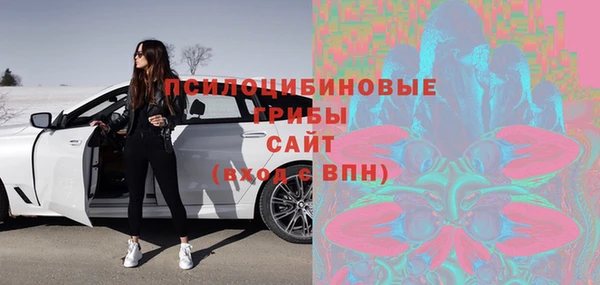 бошки Белокуриха